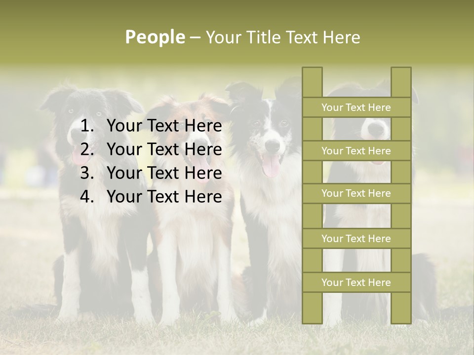 Background Hair Freedom PowerPoint Template