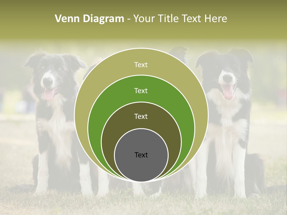 Background Hair Freedom PowerPoint Template