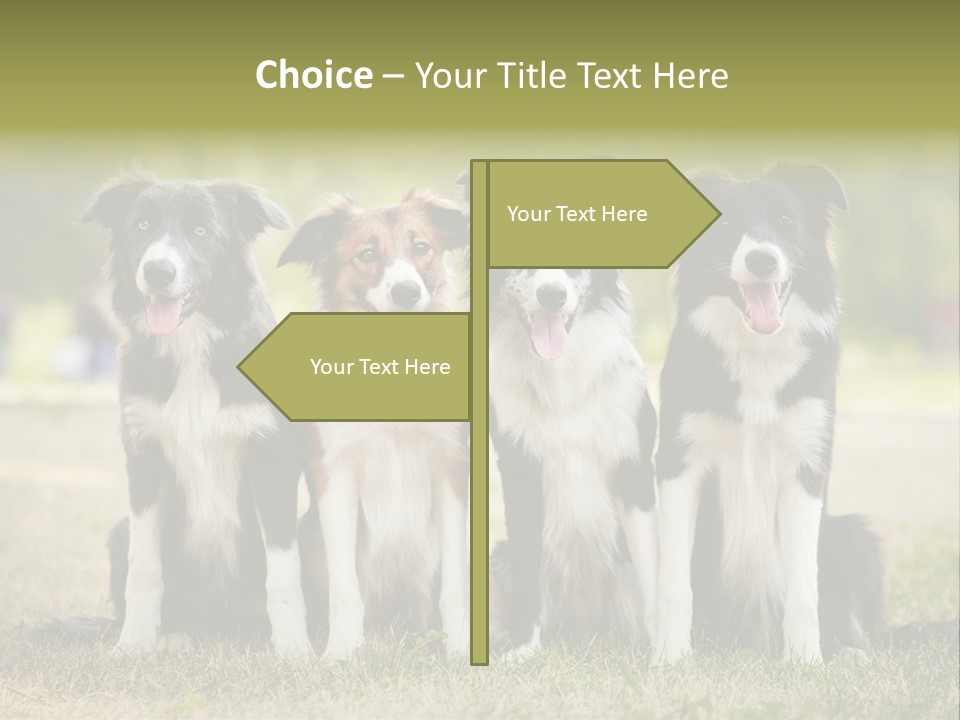 Background Hair Freedom PowerPoint Template