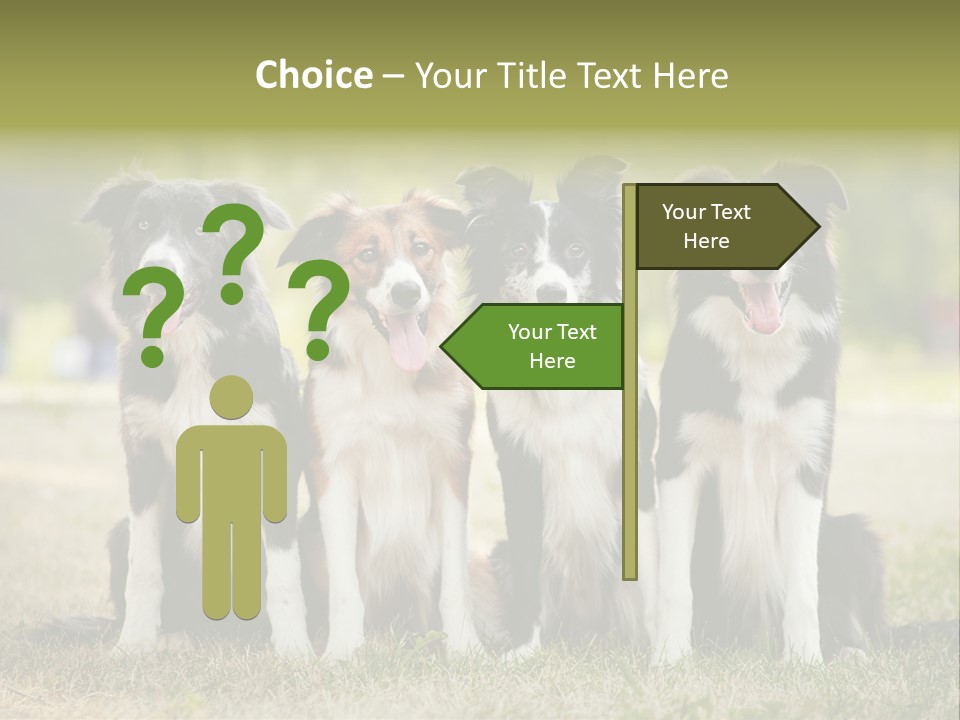 Background Hair Freedom PowerPoint Template