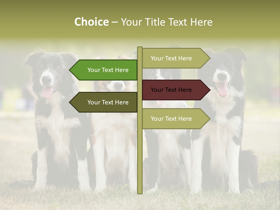 Background Hair Freedom PowerPoint Template