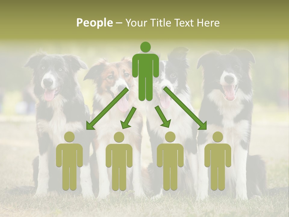 Background Hair Freedom PowerPoint Template