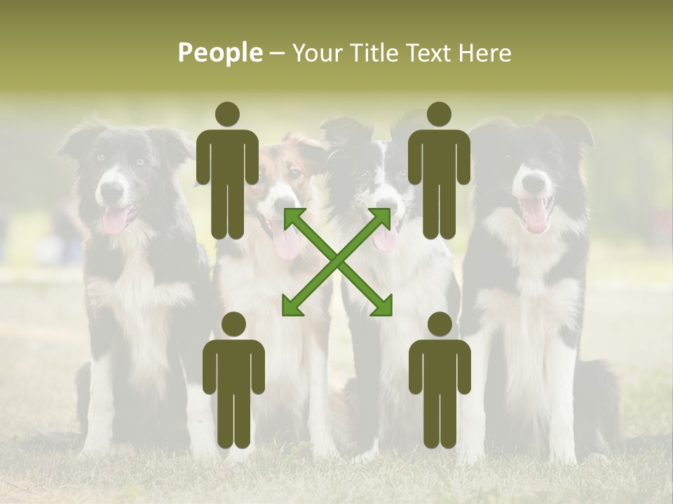 Background Hair Freedom PowerPoint Template