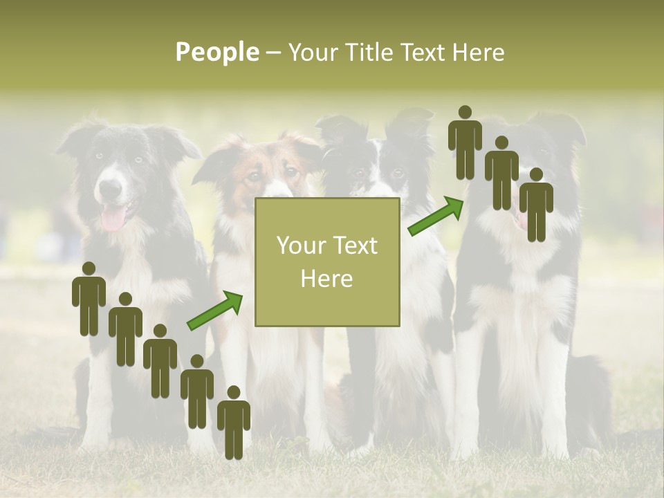 Background Hair Freedom PowerPoint Template