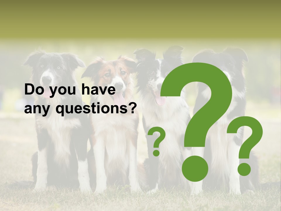 Background Hair Freedom PowerPoint Template