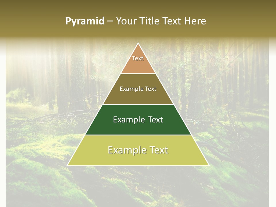 Travel Sunlight Environment PowerPoint Template