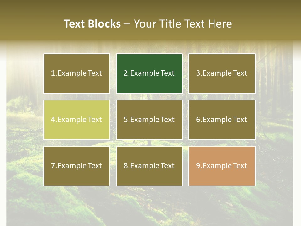 Travel Sunlight Environment PowerPoint Template