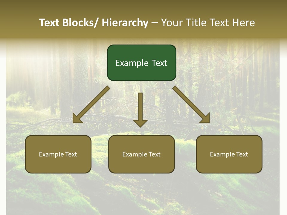 Travel Sunlight Environment PowerPoint Template