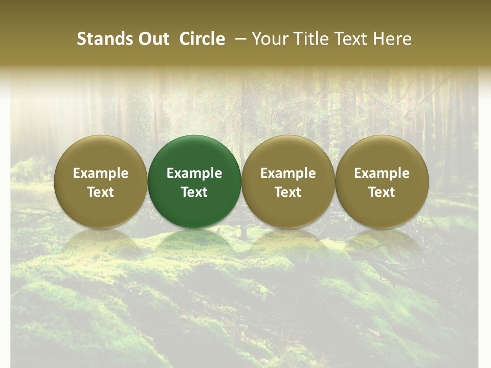 Travel Sunlight Environment PowerPoint Template