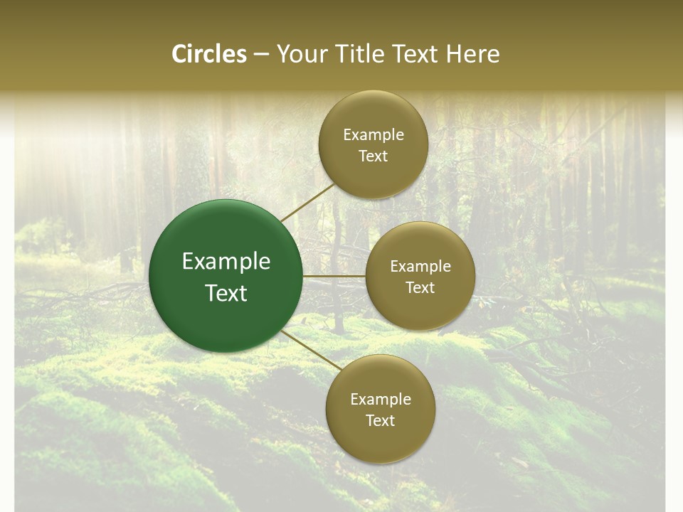 Travel Sunlight Environment PowerPoint Template