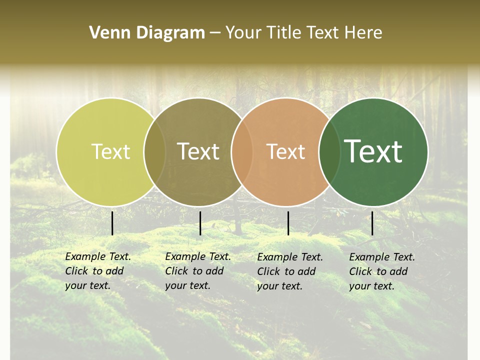 Travel Sunlight Environment PowerPoint Template