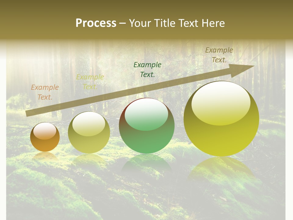 Travel Sunlight Environment PowerPoint Template