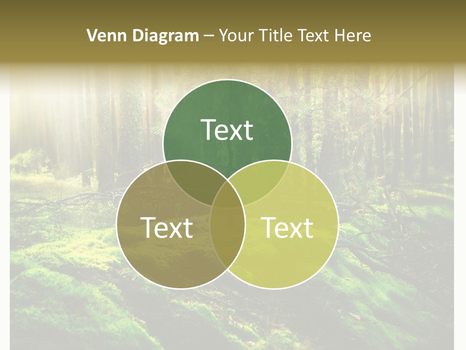 Travel Sunlight Environment PowerPoint Template