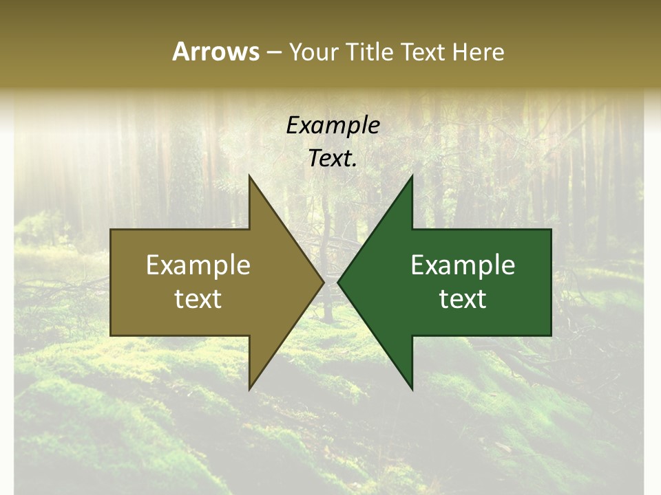 Travel Sunlight Environment PowerPoint Template