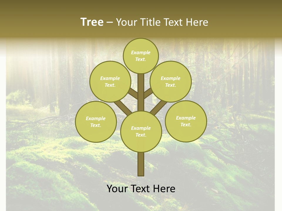 Travel Sunlight Environment PowerPoint Template