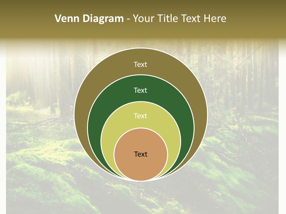 Travel Sunlight Environment PowerPoint Template