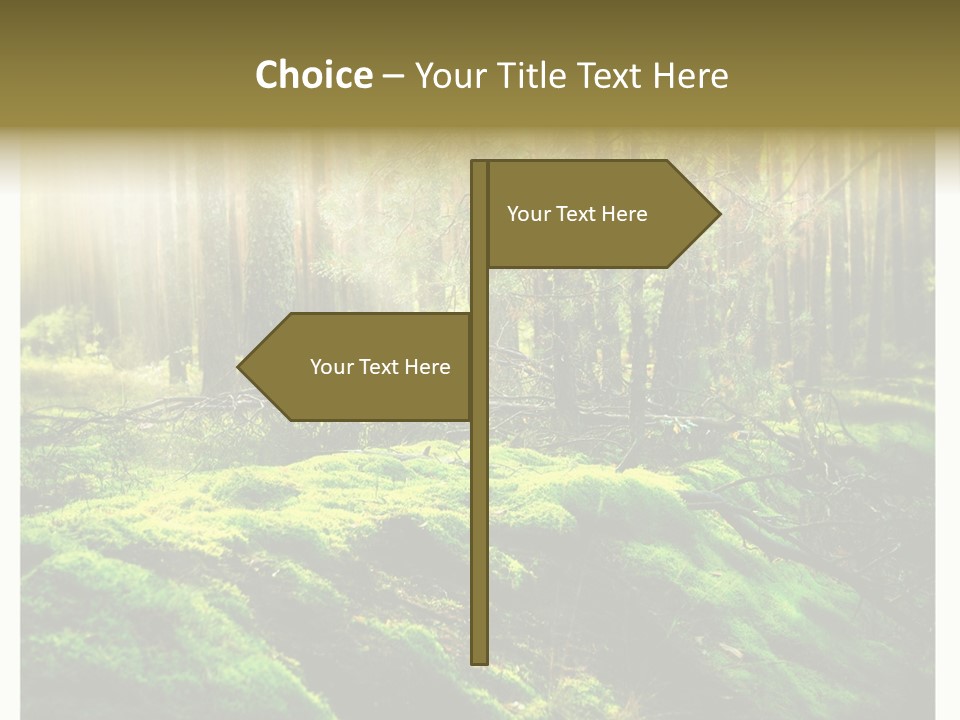 Travel Sunlight Environment PowerPoint Template