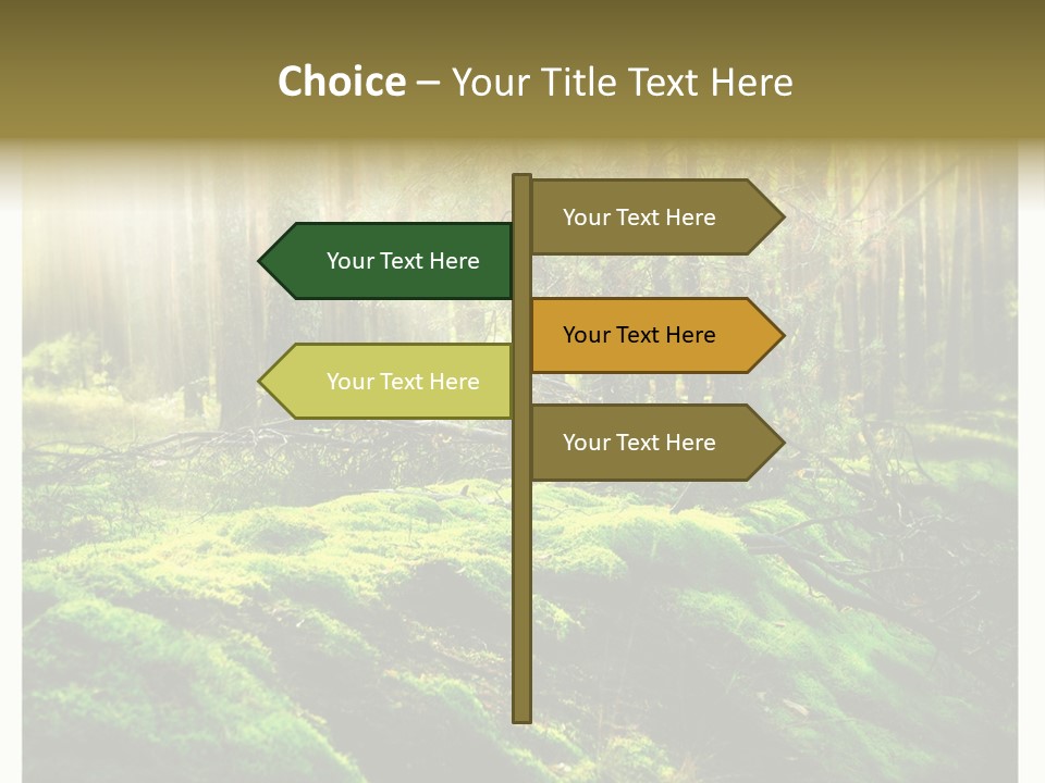 Travel Sunlight Environment PowerPoint Template