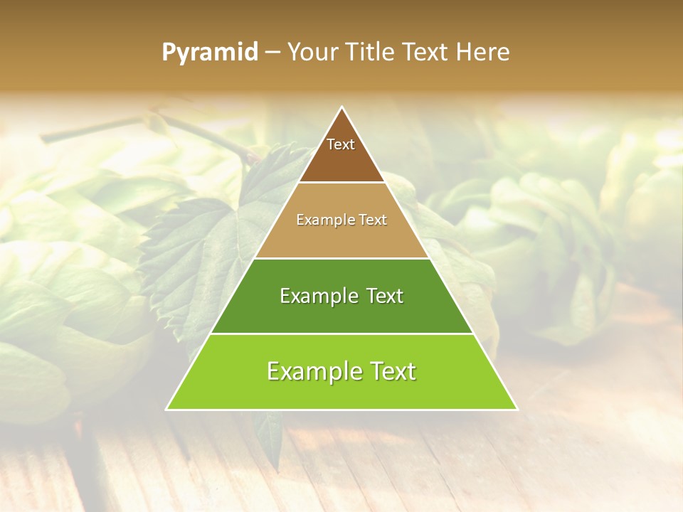 Seasoning World Branch PowerPoint Template