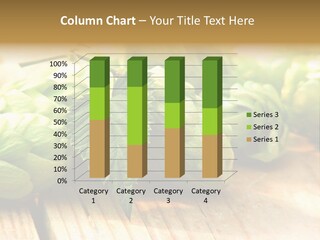 Seasoning World Branch PowerPoint Template