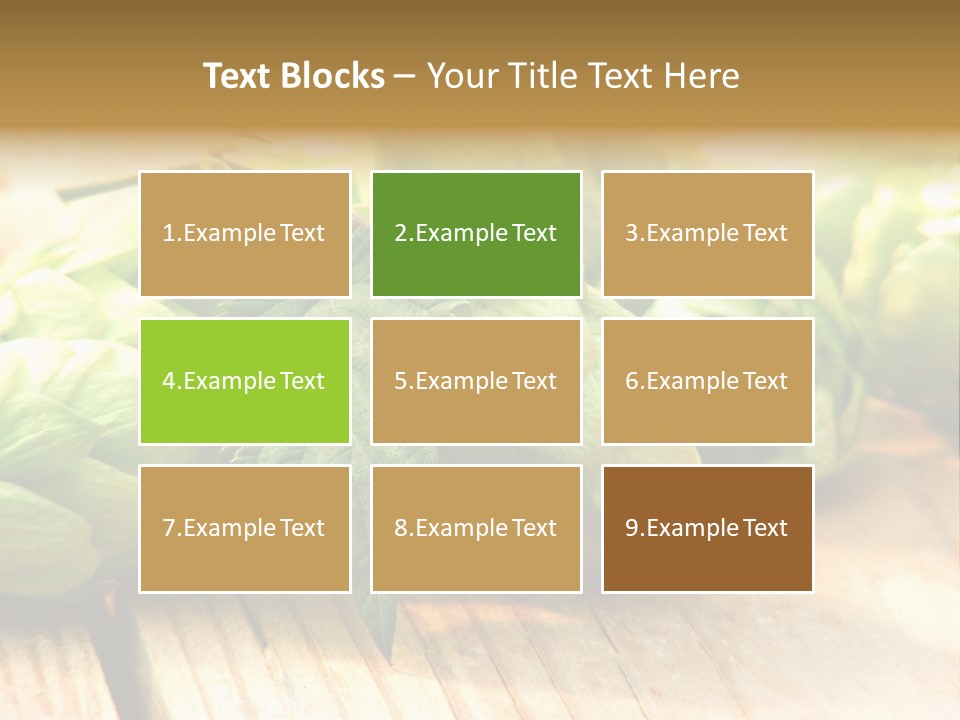 Seasoning World Branch PowerPoint Template