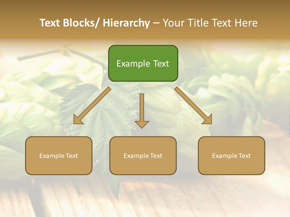Seasoning World Branch PowerPoint Template