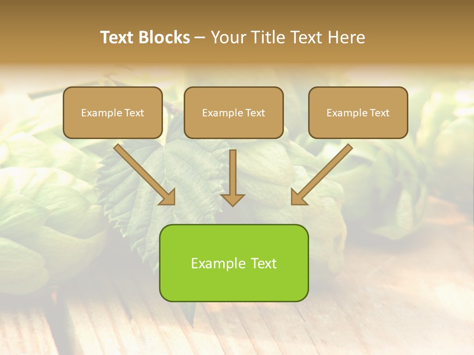 Seasoning World Branch PowerPoint Template