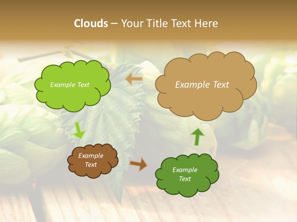 Seasoning World Branch PowerPoint Template