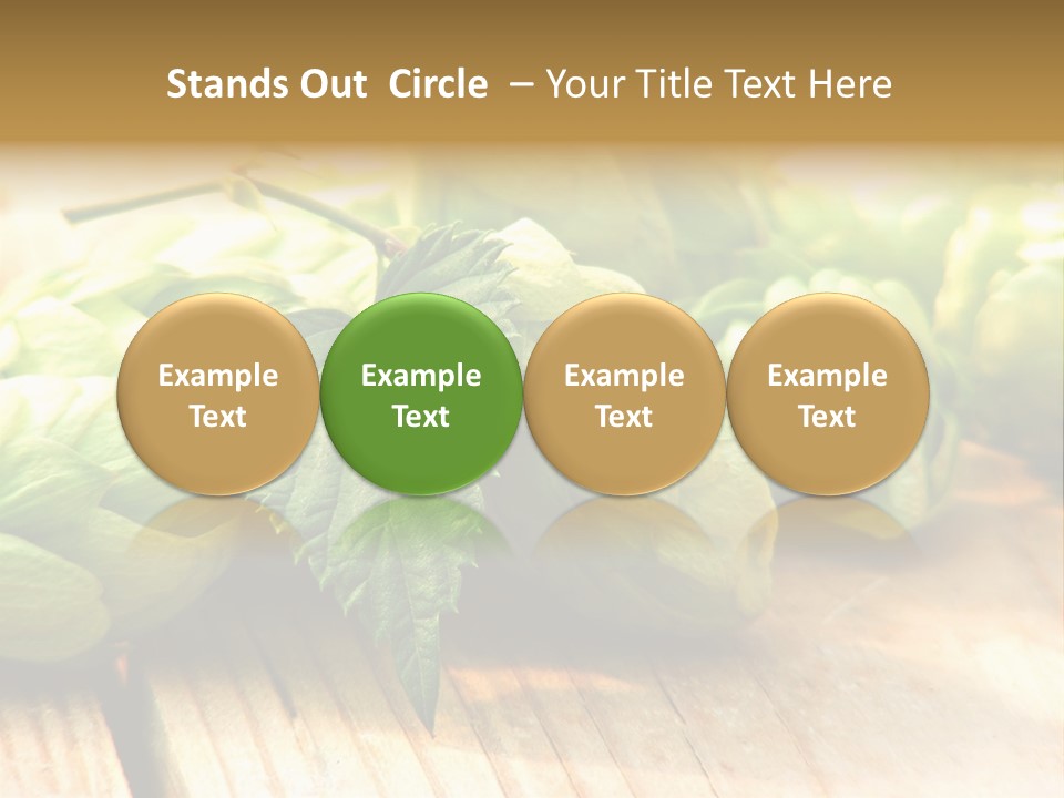 Seasoning World Branch PowerPoint Template