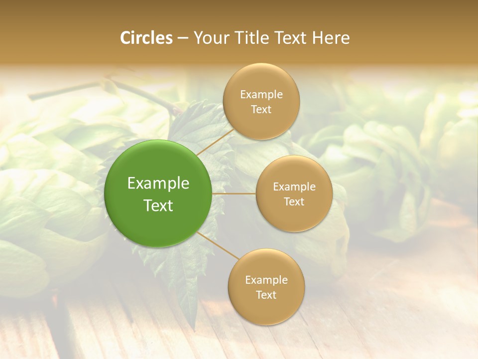 Seasoning World Branch PowerPoint Template