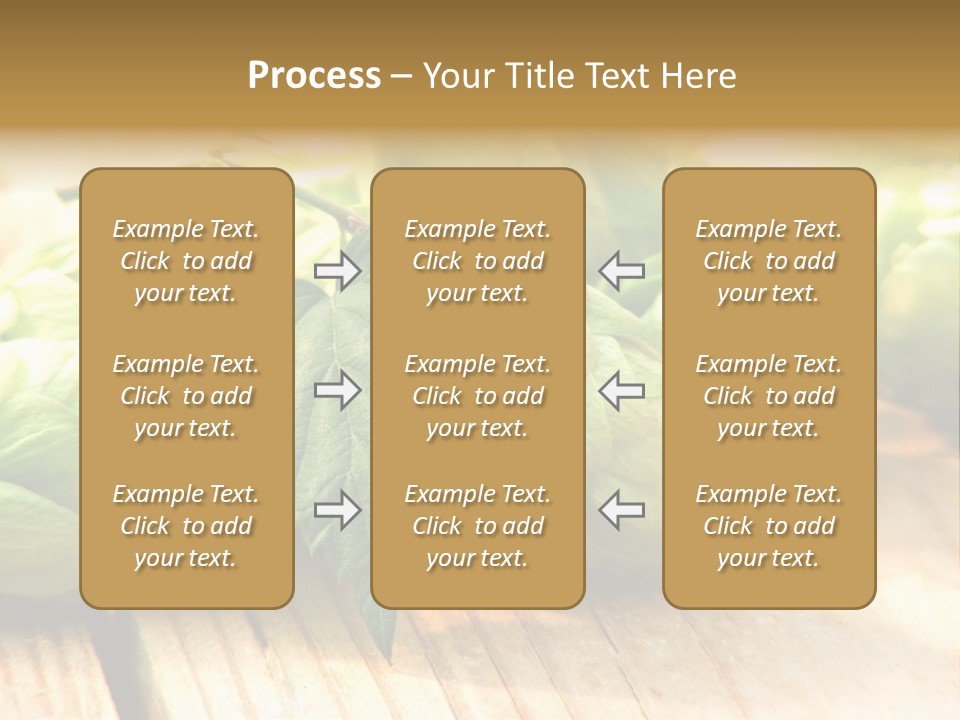 Seasoning World Branch PowerPoint Template