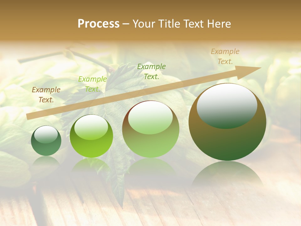 Seasoning World Branch PowerPoint Template