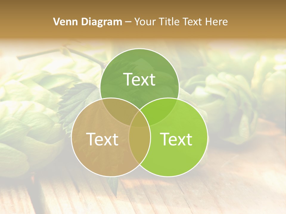 Seasoning World Branch PowerPoint Template