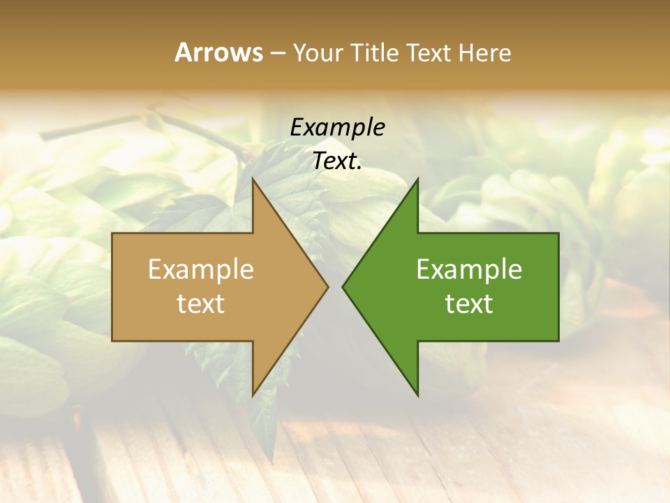 Seasoning World Branch PowerPoint Template