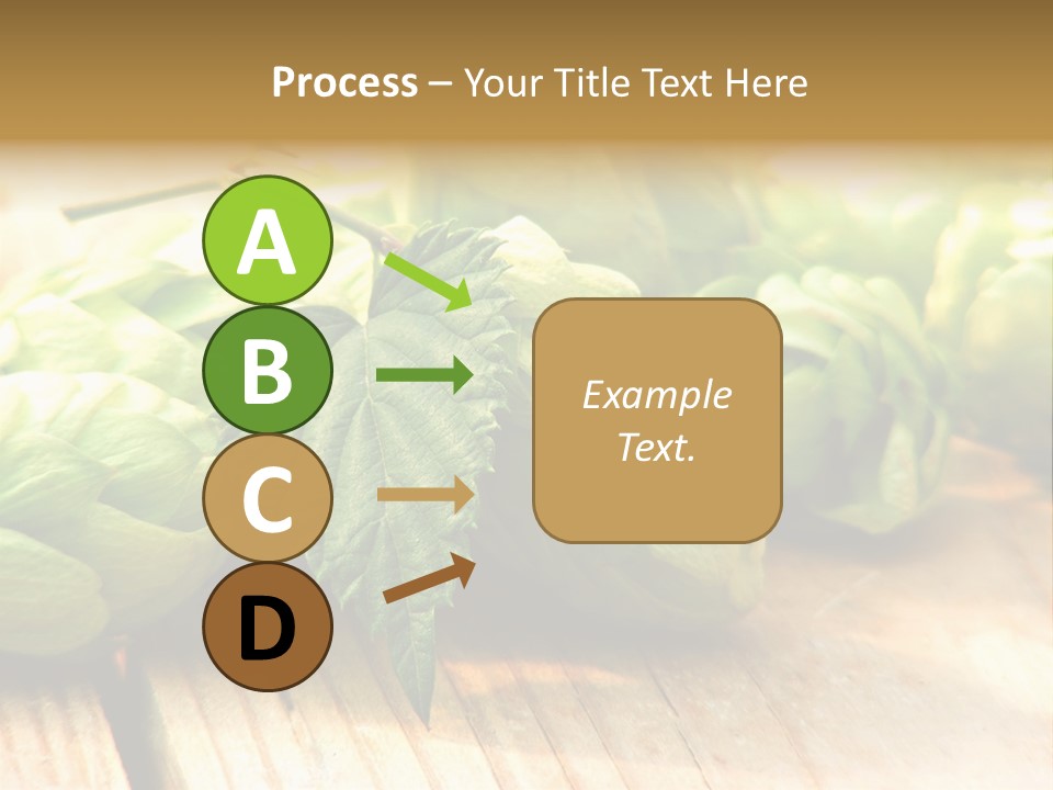 Seasoning World Branch PowerPoint Template