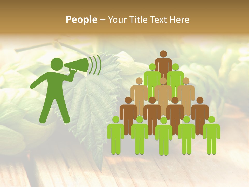 Seasoning World Branch PowerPoint Template