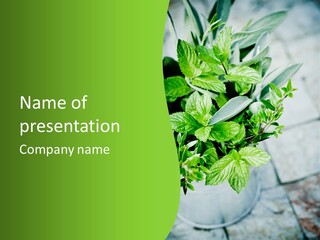 Seasoning True Myrtle Ingredient PowerPoint Template