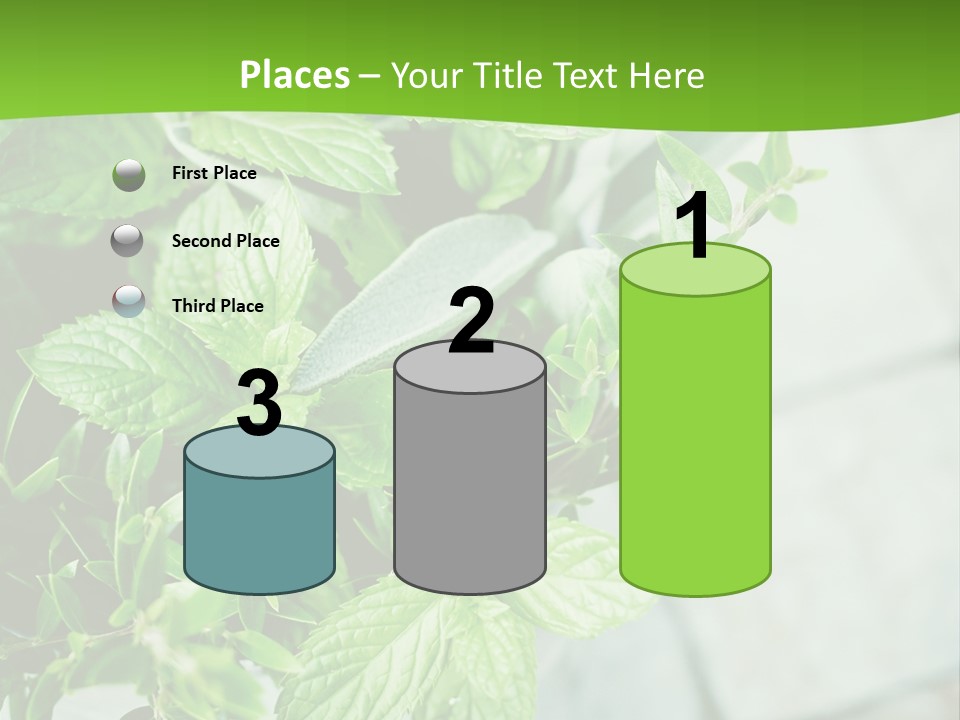 Seasoning True Myrtle Ingredient PowerPoint Template