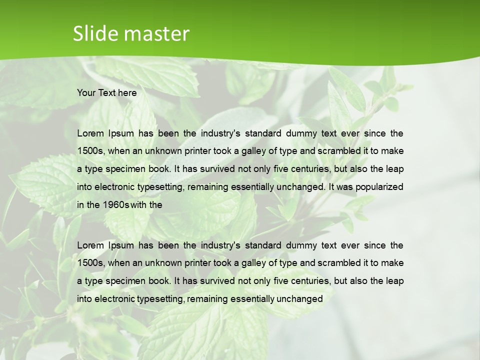 Seasoning True Myrtle Ingredient PowerPoint Template