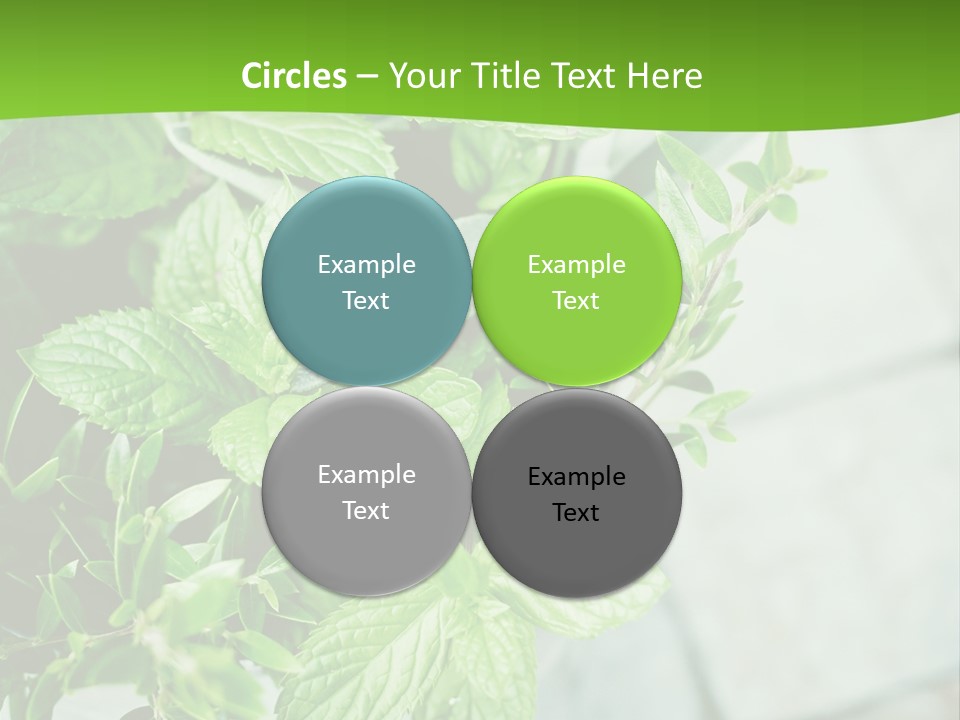 Seasoning True Myrtle Ingredient PowerPoint Template