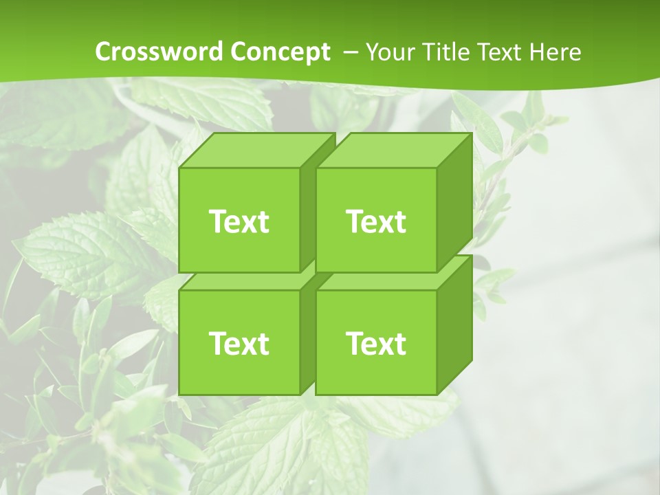 Seasoning True Myrtle Ingredient PowerPoint Template
