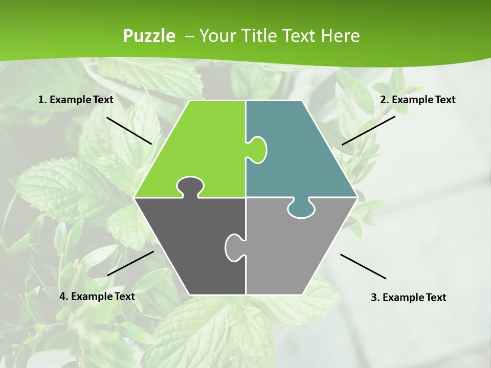 Seasoning True Myrtle Ingredient PowerPoint Template