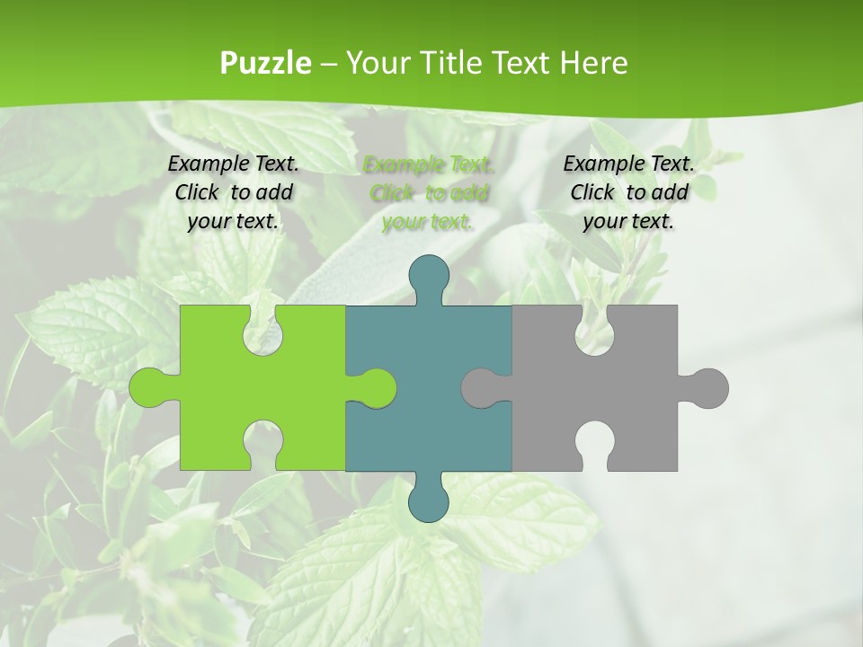 Seasoning True Myrtle Ingredient PowerPoint Template