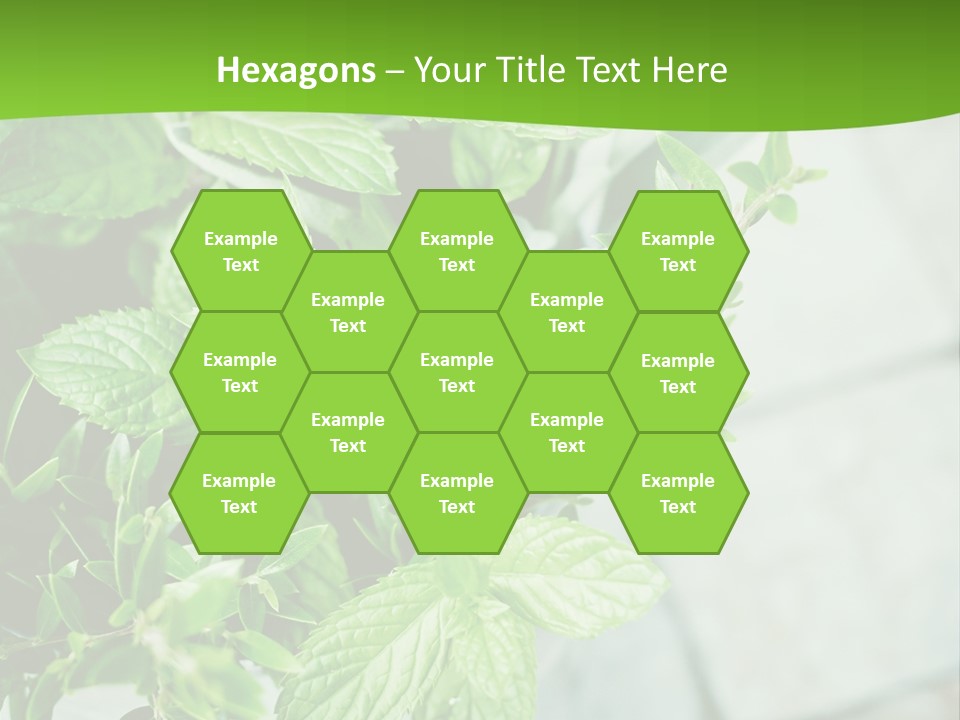 Seasoning True Myrtle Ingredient PowerPoint Template