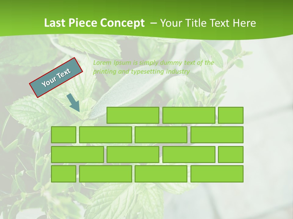 Seasoning True Myrtle Ingredient PowerPoint Template