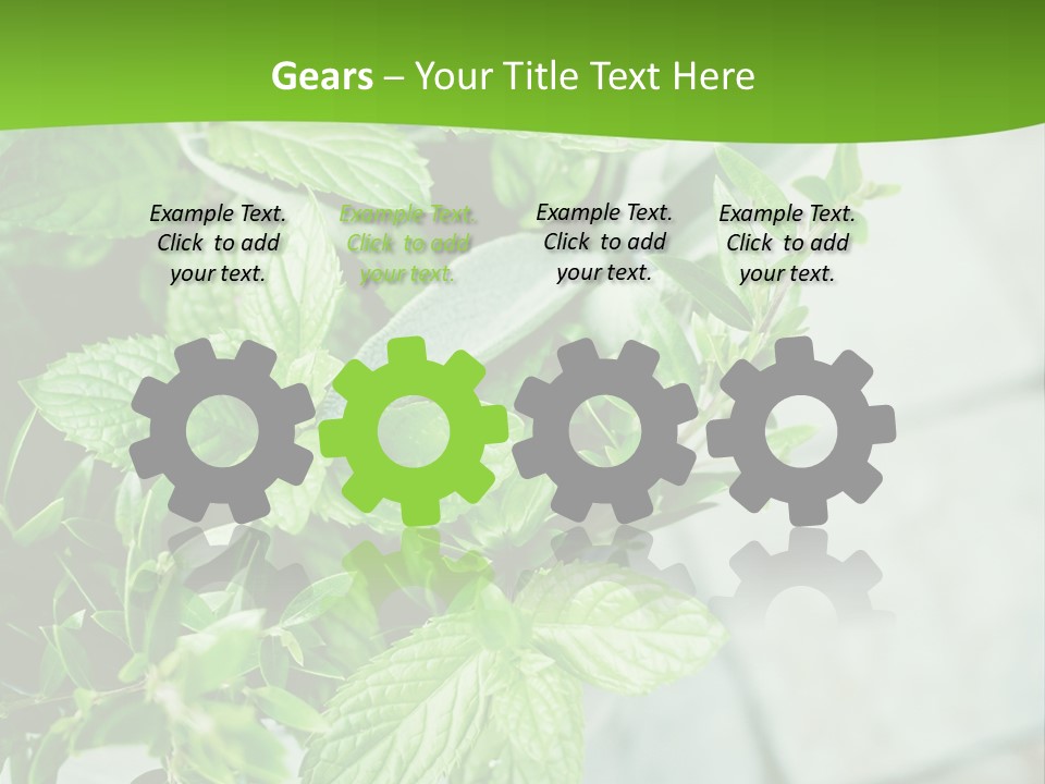 Seasoning True Myrtle Ingredient PowerPoint Template