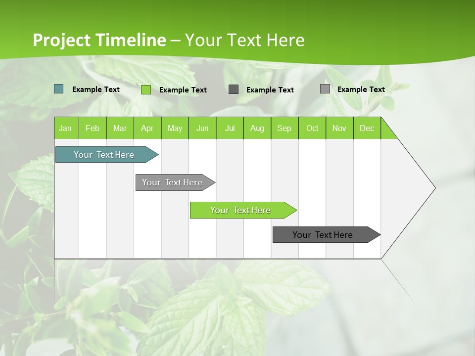 Seasoning True Myrtle Ingredient PowerPoint Template