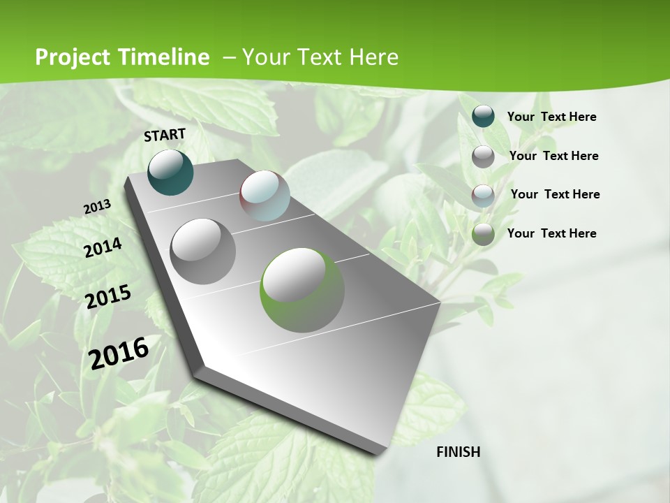 Seasoning True Myrtle Ingredient PowerPoint Template
