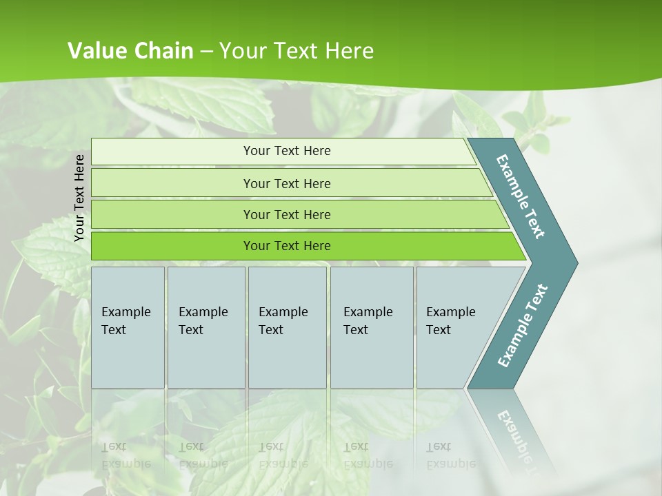 Seasoning True Myrtle Ingredient PowerPoint Template