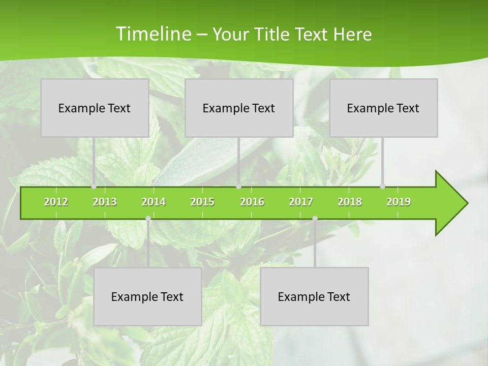Seasoning True Myrtle Ingredient PowerPoint Template
